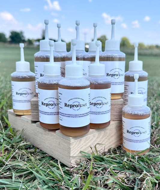 ReproReset - 12 Pack